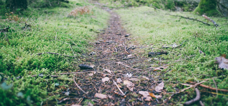 Interesting article about creativity